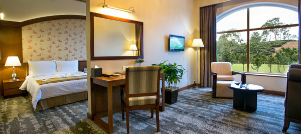 Room with one Bedroom 1