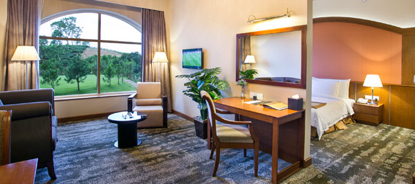 Room with one Bedroom 1